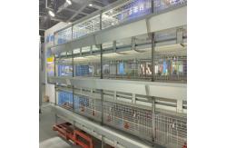 China Enriched 3-8 Tiers Baby Chick Cage For Day Old Layer Chicks supplier