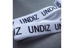 China High Tenacity ODM Printed Nylon Webbing For Home Textile supplier