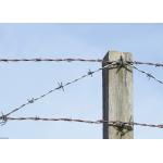 Garden Anti-Theft Single Strand Galvanized Steel Barbed Wire Fence for sale