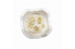 China High Alumina Dental Laboratory Material Fast Sintering Tray Crucible supplier