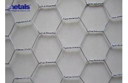 China 4 Inch Hexgonal Wire Mesh Galvanized Hex Netting For Poultry supplier