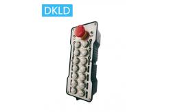 China 14-way switch industrial remote control supplier
