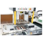 EcooGraphix Automatic Double Guide Stripping Machine For Packaging