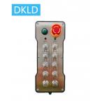 Ten-way dual speed switch industrial remote control for sale