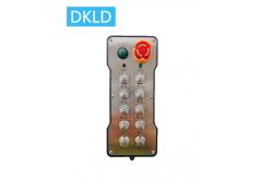China Ten-way dual speed switch industrial remote control supplier