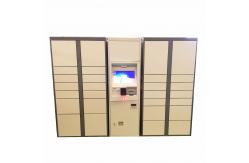 China Intelligent Logistics Parcel Delivery Lockers With Online Shopping Click & Collect Solution supplier