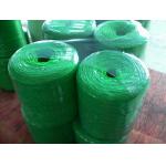 Green Polypropylene Baling 5mm Plastic Twine Rope for sale