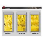 Stainless Steel st . St Splendid Elevator Door Panel for Passenger Lift for sale