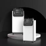 Intelligent 10L Medical Oxygen Concentrator Portable for sale