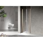 Stainless Sliding 6mm Tempered Glass Shower Door 1200X2000mm for sale