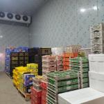 Microcomputer Cold Storage Room For Fruits And Vegetables With -20°C To 10°C Temperature Range for sale