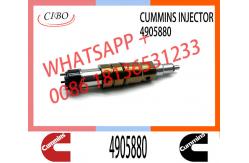 China Diesel Fuel Injectors 2872544 2031835 2030519 4905880 For Cummins supplier