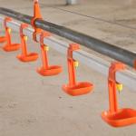 Orange Lubing Poultry Drinkers Poultry Drinking Line For Chicken House for sale