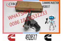 China 4903472 4928517 3411845 402622200PX Injector QSM11 QSM11-C R455LC-7 OEM supplier