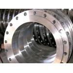 ANSI ISO Stainless Steel Flanges  1/2-124 for Petroleum / chemical for sale