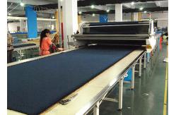 China Adult Christmas Costumes manufacturer