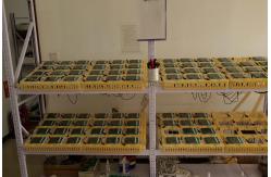 China Indoor CO2 Meter manufacturer