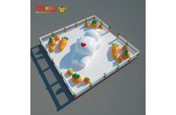 China Big Pool Inflatable Rabit With Carrot Jumping Boucny Castle supplier