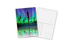 China Animal Design 3D Lenticular Printing Service Custom Lenticular Postercard supplier
