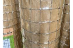 China 2X2 Galvanized Welded Wire Mesh 25m Roll supplier