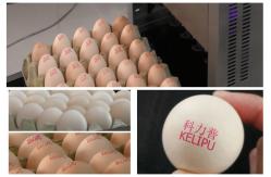 China High Resolution With 600 DPI And High Speed Operation  Egg Jet Printer supplier