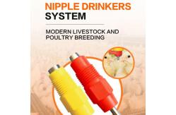 China 360 Degree triggering Chicken Automatic Nipple Drinker Broiler Chicken Water Poultry Nipple Drinker supplier