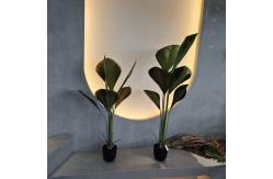 China Artificial Plants The Perfect Solution for Your Home and Office Greenery Needs supplier