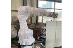 China Palletizing Robot Arm manufacturer