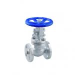 OEM ODM CE Certified 1/2 Inch API 6D SS Globe Valve for sale
