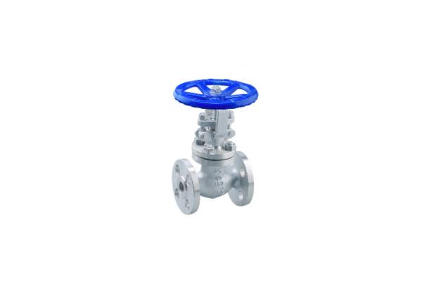 OEM ODM CE Certified 1/2 Inch API 6D SS Globe Valve