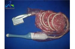 China GE RIC5-9-RS 3D Endocavity Used Ultrasound Transducer 4D Original Scanner supplier