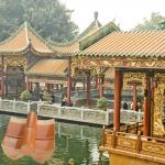 Classic Terracotta Chinese Temple Roof Tile Glossy Variety of Sizes Colors for sale