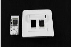 China 1pc/Poly Bag RJ45 Cat 5e Network Cable Faceplate supplier