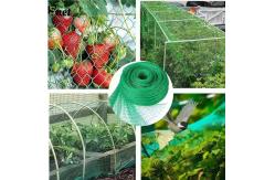 China 7GSM Bird Proof Net Green Bird Proof Netting For Fruit Trees supplier