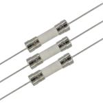 12A 250V 5x20 Ceramic Fuse Quick Blow Time Lag Fuse With Pins