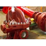 Horizontal Single Stage Centrifugal Pump NFPA20 Standard 195.9KW Max Shaft Power for sale