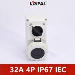 IP67 16A 3P Switched Socket With Mechanical Interlock IEC standard for sale