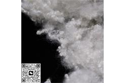China 100% Virgin Polyester Fiber High Strength Conjugate Staple Fibers supplier