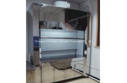 China Lab Vent Ducted Fume Hood Alkali Resistant Practical High Airflow supplier