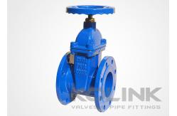 China Cast Iron Resilient Seated Gate Valve Encapsulated Disc Non-rising Stem supplier