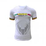 Custom Designs Soccer Team Jersey Breathable Comfortable 120-160gsm Fabric Weight