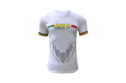 China Custom Designs Soccer Team Jersey Breathable Comfortable 120-160gsm Fabric Weight supplier