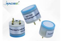 China H2S Gas Detector - A Reliable Alternative to Alphasense supplier