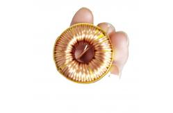 China high permeability toroidal inductor coils through hole common mode chokes supplier