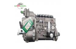 China Diesel Fuel Injection Pump 1001371519 612601080376 CB6P811A CB6P1222 for WP6 WP10 Engine supplier