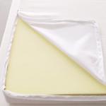7 Zone Design Pressure Relieving Mattress Pad High Density Foam