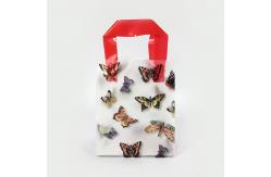 China Biodegradable 40 micron Custom Plastic Shopping Bag With Loop Handle supplier