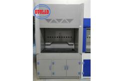 China Full Vertical Sash Opening Laboratory Fume Cupboard With Scrubber Tank supplier