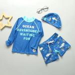 Split Blue Big Boy Swimwear Sets Shark Conservative Boy 3pcs Swimsuit Carton Print for sale
