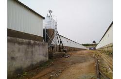 China Customized Steel Structure Poultry House Painted ISO9001 Certificate supplier